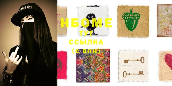 гидра Коряжма