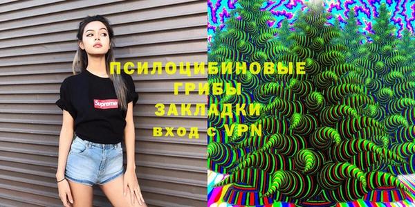 гидра Коряжма