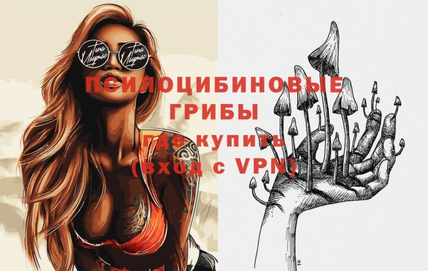 СК Краснослободск