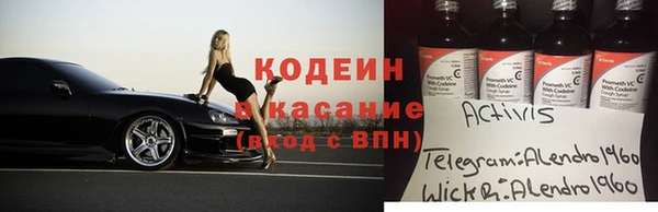 дживик Корсаков