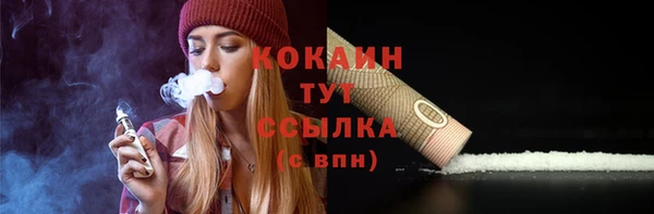 гидра Коряжма